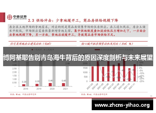 博阿基耶告别青岛海牛背后的原因深度剖析与未来展望 博阿基耶告别青岛海牛背后的原因深度剖析与未来展望