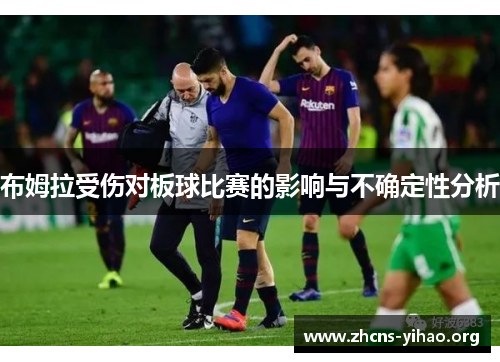 布姆拉受伤对板球比赛的影响与不确定性分析