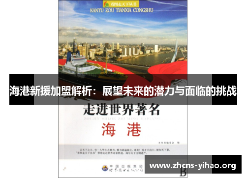 海港新援加盟解析：展望未来的潜力与面临的挑战