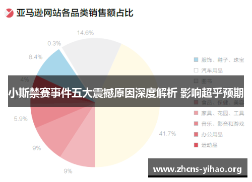 小斯禁赛事件五大震撼原因深度解析 影响超乎预期