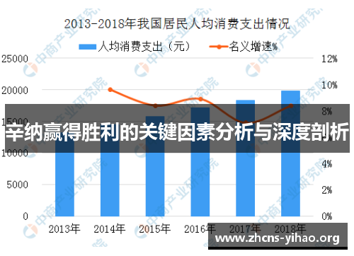 辛纳赢得胜利的关键因素分析与深度剖析