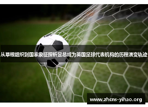 从草根组织到国家象征探析足总成为英国足球代表机构的历程演变轨迹