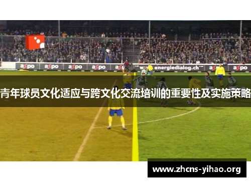青年球员文化适应与跨文化交流培训的重要性及实施策略