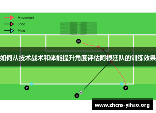 如何从技术战术和体能提升角度评估阿根廷队的训练效果