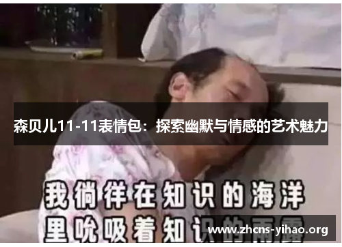 森贝儿11-11表情包:探索幽默与情感的艺术魅力 森贝儿11-11表情包:探索幽默与情感的艺术魅力