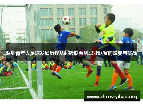 深圳青年人足球发展历程从超级联赛到职业联赛的蜕变与挑战 深圳青年人足球发展历程从超级联赛到职业联赛的蜕变与挑战