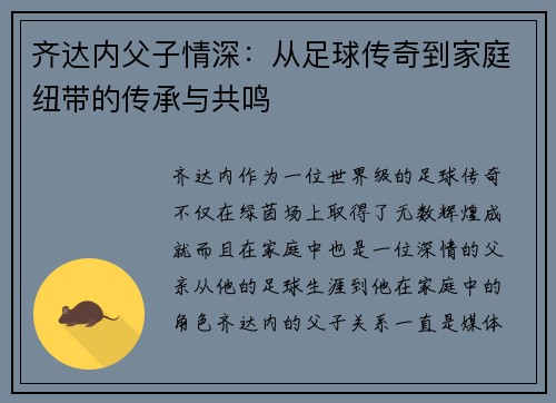 齐达内父子情深：从足球传奇到家庭纽带的传承与共鸣